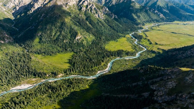 Aerial view of California's natural landscape.