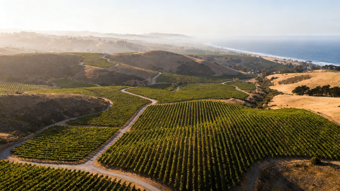 Vineyard drone mapping in Monterey County: A practical guide to smarter vineyard management